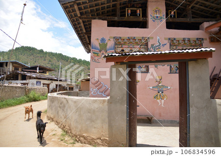 幸せの国ブータン 伝統的な壁画のある建物と、道を歩く犬たち（Punakha, Bhutan） 106834596