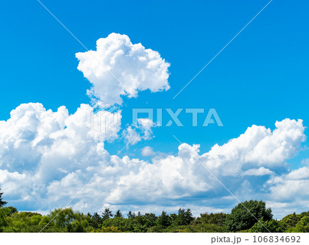 ダイナミックな夏の青空と白い雲 106834692