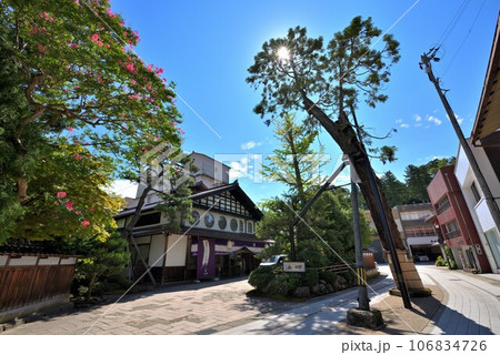 《石川県》粟津温泉の町並み 樹齢400年の黄門杉 《石川県》粟津温泉の町並み 樹齢400年の黄門杉 106834726