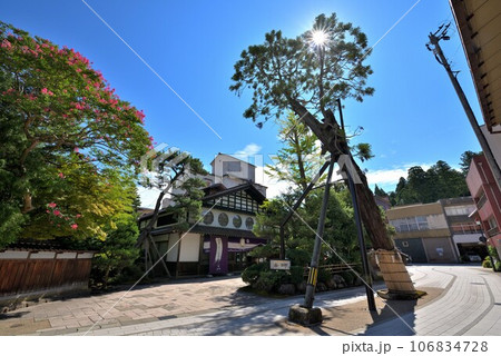 《石川県》粟津温泉の町並み　樹齢400年の黄門杉 106834728