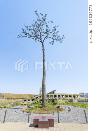 岩手県陸前高田市　高田松原津波復興祈念公園内　震災復興のシンボル　奇跡の一本松 106834775