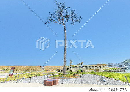 岩手県陸前高田市　高田松原津波復興祈念公園内　震災復興のシンボル　奇跡の一本松 106834778