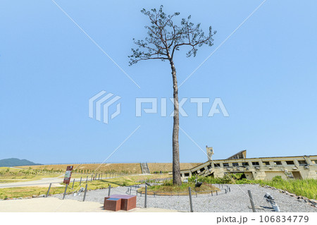 岩手県陸前高田市　高田松原津波復興祈念公園内　震災復興のシンボル　奇跡の一本松 106834779