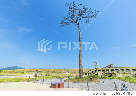 岩手県陸前高田市　高田松原津波復興祈念公園内　震災復興のシンボル　奇跡の一本松 106834780