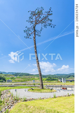 岩手県陸前高田市　高田松原津波復興祈念公園内　震災復興のシンボル　奇跡の一本松 106834784