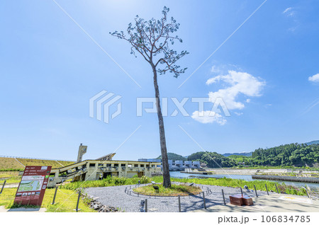 岩手県陸前高田市　高田松原津波復興祈念公園内　震災復興のシンボル　奇跡の一本松 106834785