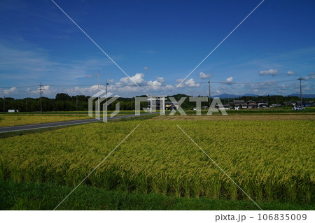 晩夏の檜尾神社 106835009
