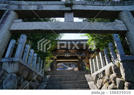 晩夏の檜尾神社 106835010