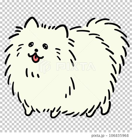 白色博美犬的插圖 106835968
