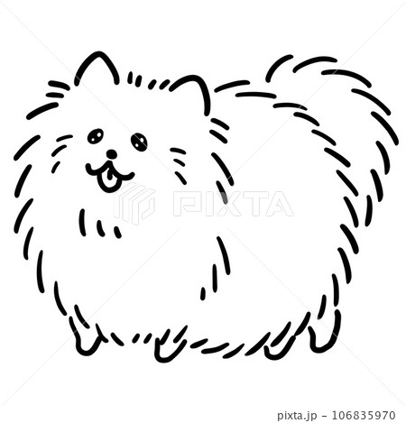 ポメラニアン犬のイラスト 線画 ポメラニアン犬のイラスト 線画 106835970