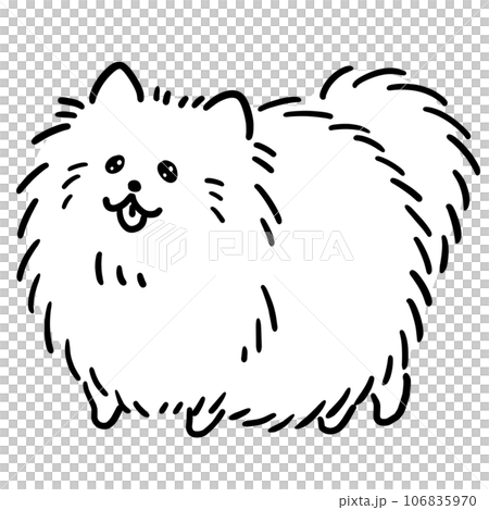 ポメラニアン犬のイラスト 線画 ポメラニアン犬のイラスト 線画 106835970