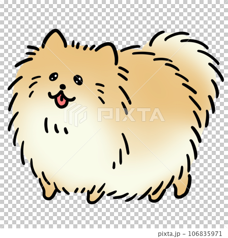 Illustration of brown pomeranian dog Illustration of brown pomeranian dog 106835971