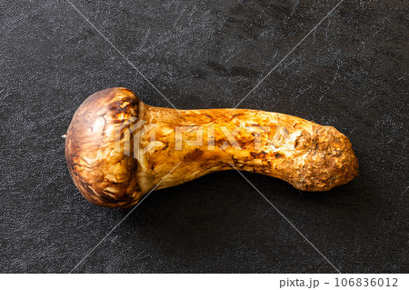 松茸　high-quality matsutake mushrooms from Kyoto, 106836012