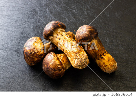 松茸　high-quality matsutake mushrooms from Kyoto, 106836014