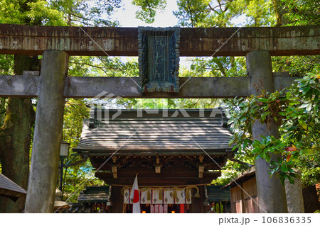 赤坂氷川神社(東京都港区赤坂) 赤坂氷川神社(東京都港区赤坂) 106836335