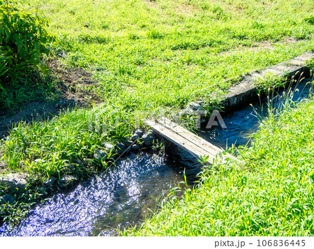 晩夏の田園の景色　用水にかかった小さな木橋 106836445