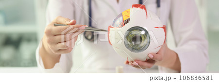 Female ophthalmologist shows an anatomical model of human eye while sitting at table in clinic. Female ophthalmologist shows an anatomical model of human eye while sitting at table in clinic. 106836581