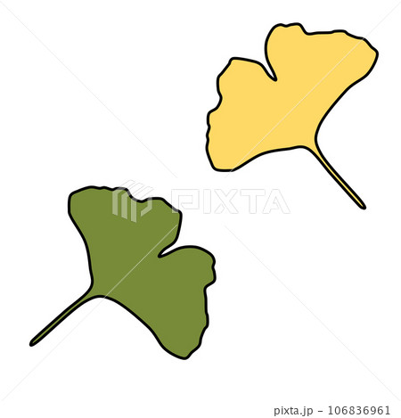 秋を感じる公孫樹の葉のイラスト 秋を感じる公孫樹の葉のイラスト 106836961