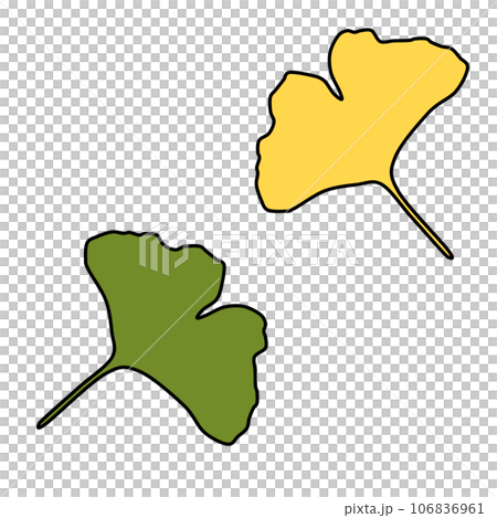 秋を感じる公孫樹の葉のイラスト 秋を感じる公孫樹の葉のイラスト 106836961