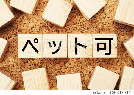 ペット可 木製キューブのビジネス用語素材 ペット可 木製キューブのビジネス用語素材 106837034