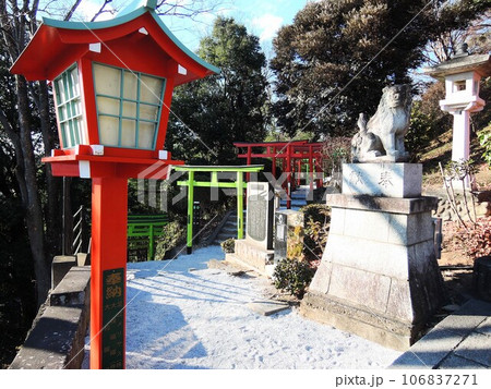 足利織姫神社の七色の鳥居 足利織姫神社の七色の鳥居 106837271