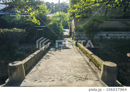 哲学の道 夏の季節 木々の緑 哲学の道 夏の季節 木々の緑 106837964