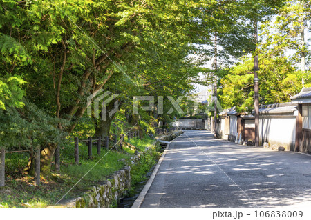南禅寺 大寂門からの通り 南禅寺 大寂門からの通り 106838009