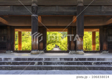 京都　早朝の南禅寺三門から法堂を望む　夏 106838014
