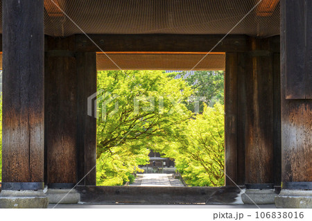 京都 早朝の南禅寺三門から法堂を望む 夏 京都 早朝の南禅寺三門から法堂を望む 夏 106838016