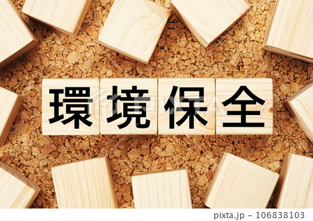 環境保全　木製キューブのビジネス用語素材 106838103
