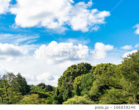 緑と青空と白い雲のダイナミックな夏空 106839240