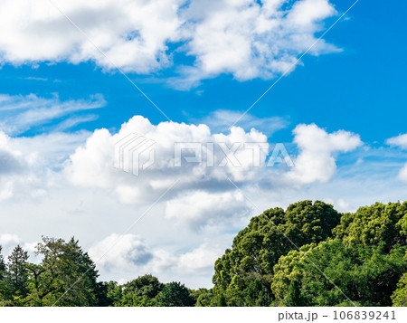 緑と青空と白い雲のダイナミックな夏空 106839241