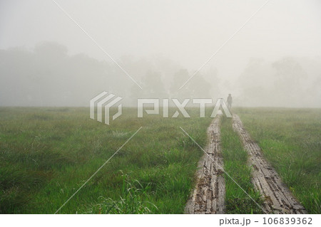 朝の薄霧に包まれる夏の尾瀬ヶ原 106839362