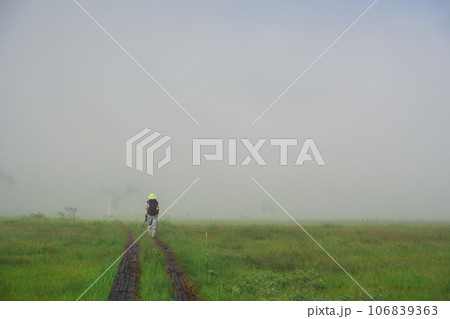 朝の薄霧に包まれる夏の尾瀬ヶ原 106839363