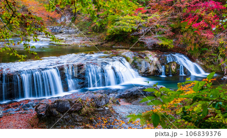 秋の浅布渓谷：不動の滝 106839376