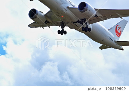大阪国際空港 旅客機 JAL 離陸 猪名川土手 大阪国際空港 旅客機 JAL 離陸 猪名川土手 106839609