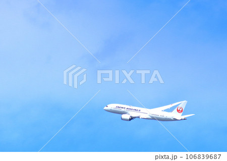 大阪国際空港　旅客機　JAL　離陸　猪名川土手 106839687