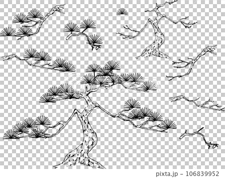 用鋼筆繪製的松木部分-插圖素材 [106839952] - PIXTA圖庫