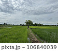 field 106840039
