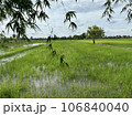 field 106840040