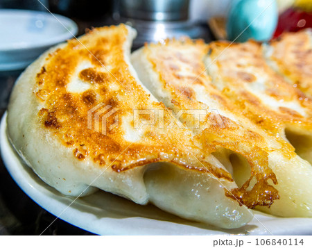 資料用素材 美味しそうな焼き餃子 資料用素材 美味しそうな焼き餃子 106840114