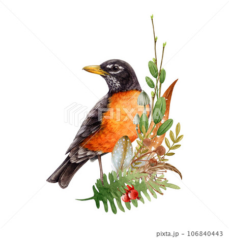 Floral autumn decor with robin bird and natural forest elements. Watercolor illustration. Hand drawn beautiful bird with floral natural decoration. Robin, fern, berries, leaf rustic autumn decor 106840443