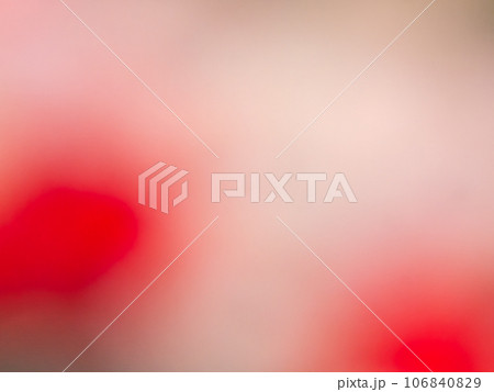 背景素材 カラフルな花びらを元にしたバックイメージ 背景素材 カラフルな花びらを元にしたバックイメージ 106840829
