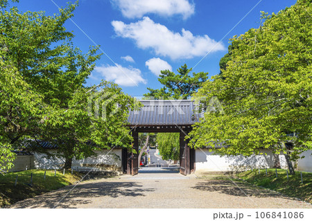 京都 醍醐寺 総門 夏の季節 京都 醍醐寺 総門 夏の季節 106841086