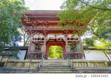 京都 醍醐寺 西大門(仁王門) 夏の季節 京都 醍醐寺 西大門(仁王門) 夏の季節 106841093