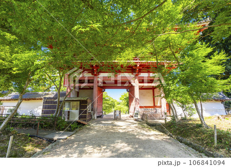京都 醍醐寺 西大門(仁王門) 夏の季節 京都 醍醐寺 西大門(仁王門) 夏の季節 106841094