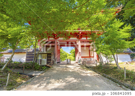 京都 醍醐寺 西大門(仁王門) 夏の季節 京都 醍醐寺 西大門(仁王門) 夏の季節 106841095