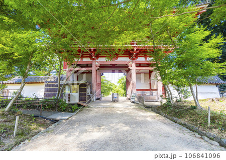 京都 醍醐寺 西大門(仁王門) 夏の季節 京都 醍醐寺 西大門(仁王門) 夏の季節 106841096