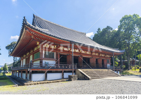 京都　醍醐寺　金堂　夏の季節 106841099