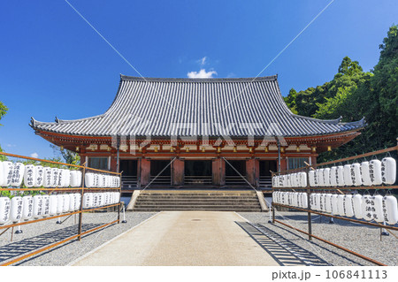 京都　醍醐寺　金堂　夏の季節 106841113